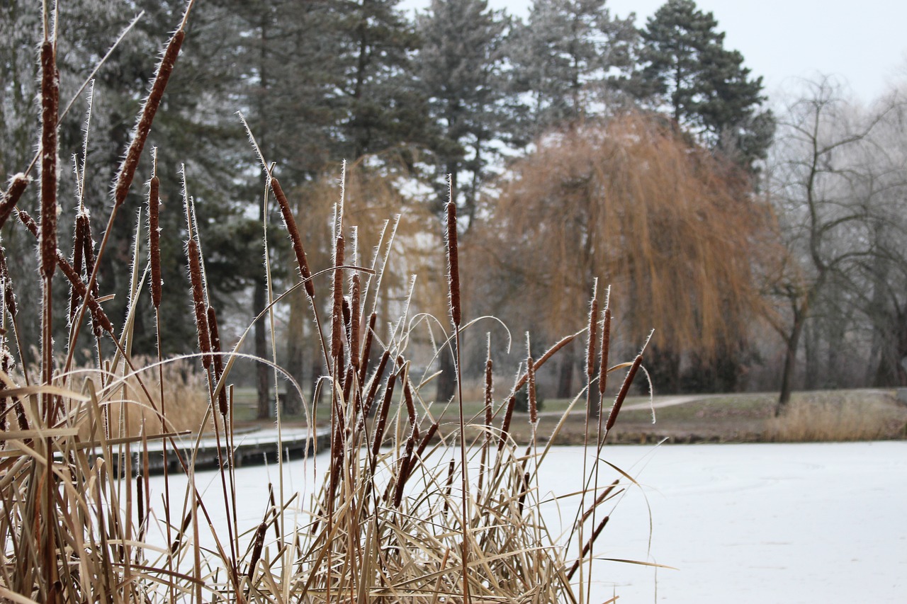 What Body Parts Are Most Often Affected By Frostbite